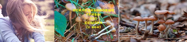 a pvp Струнино