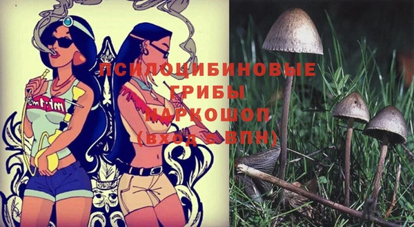 кокаин колумбия Липки