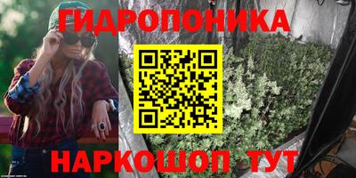 сатива Балахна