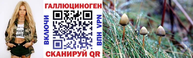 купить  сайты  Нижнекамск  blacksprut сайт  Псилоцибиновые грибы мухоморы 