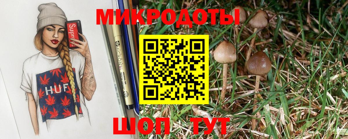 Нижнекамск  Псилоцибиновые грибы Psilocybe  Галлюциногенные грибы Cubensis  Вход с VPN 