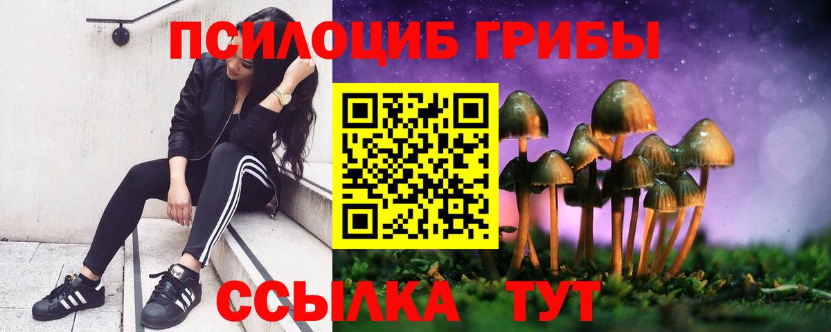 Галлюциногенные грибы Cubensis  Нижнекамск 