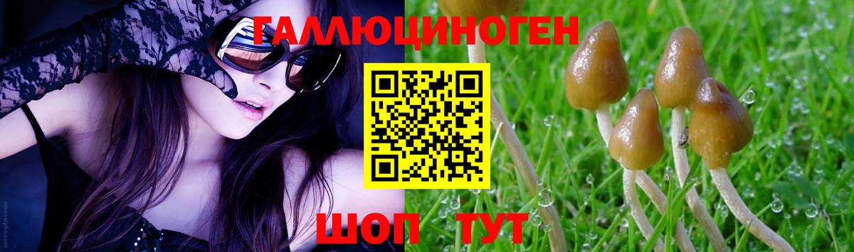 Псилоцибиновые грибы Нижнекамск