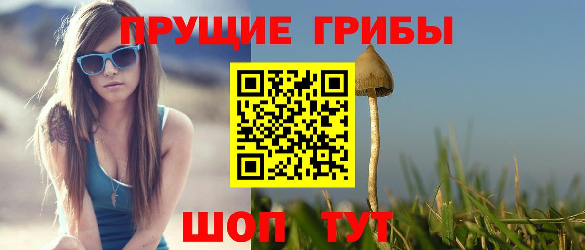 Псилоцибиновые грибы MAGIC MUSHROOMS Нижнекамск