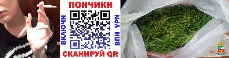 OMG ссылка  купить наркотики цена  Нижнекамск  Канабис SATIVA & INDICA 